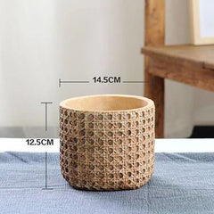 Rattan plant pots