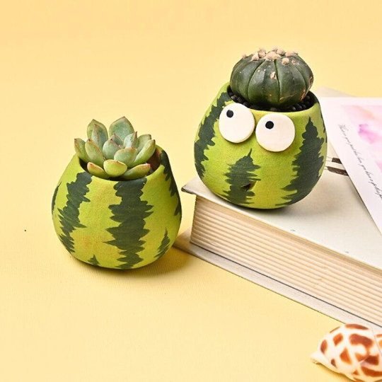 Mini Succulent Flower Pot with drainage hole