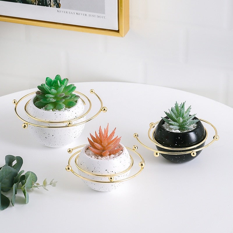 Ceramic succulent planters