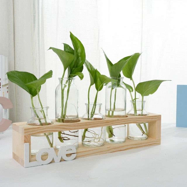 Propagation station