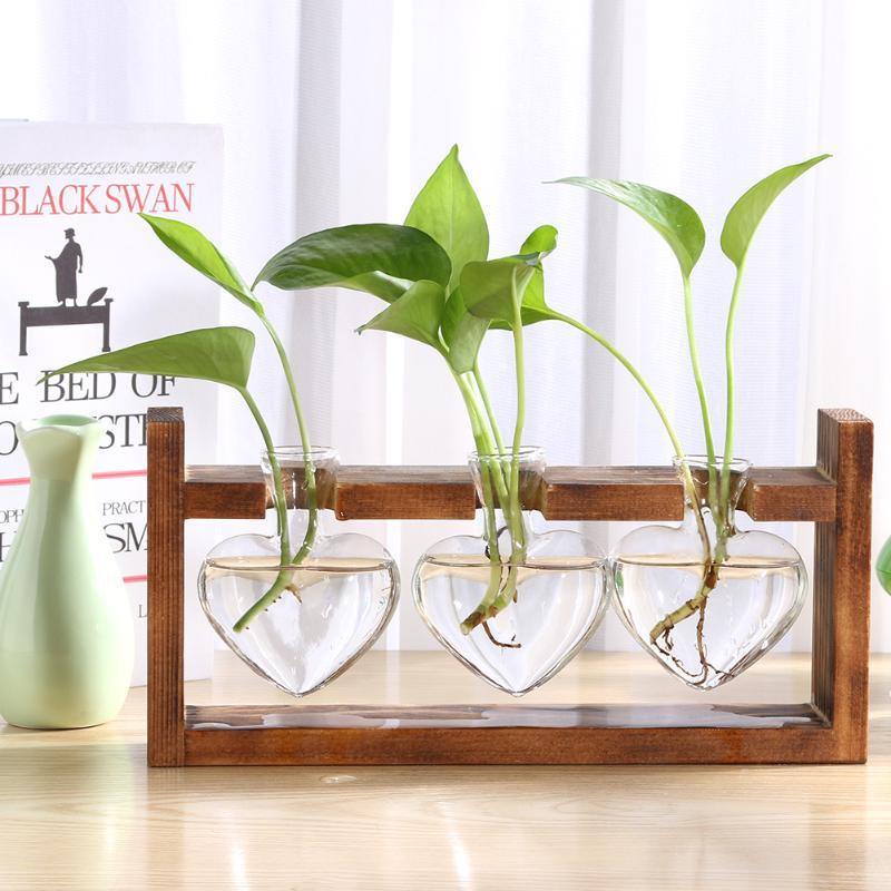 Propagation station