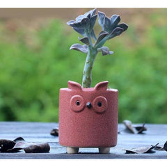 Small cement planter